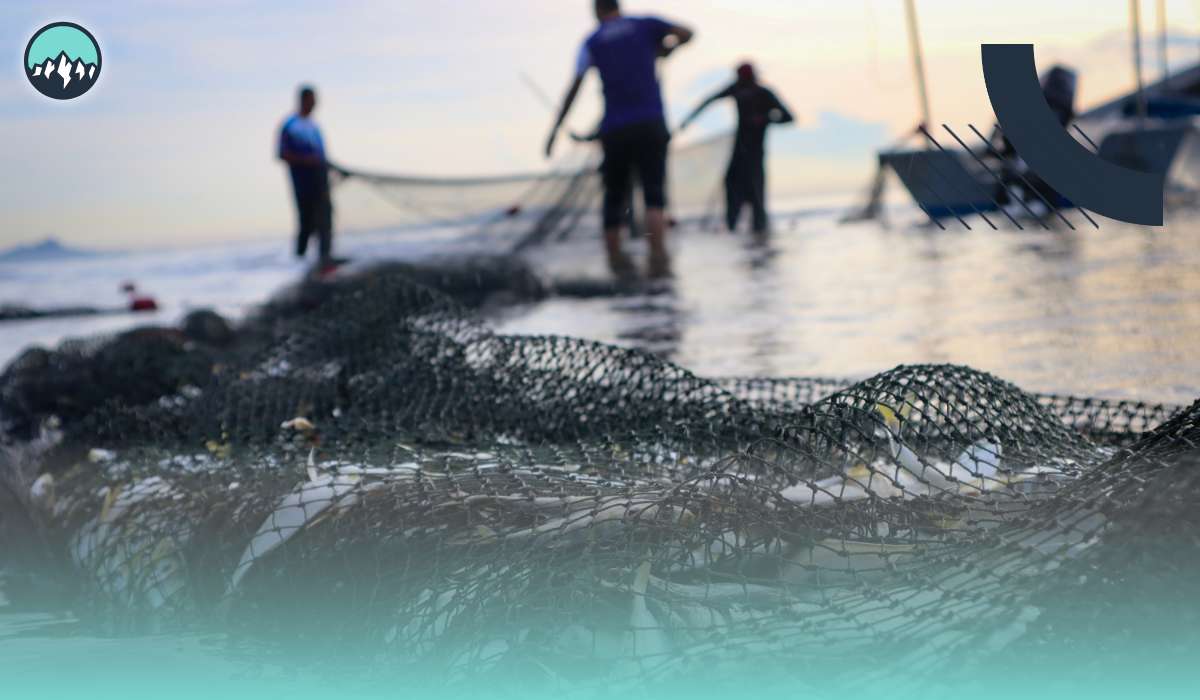 New Foreign Labor Stream for Agriculture and Fish Processing: Opportunities in Canada