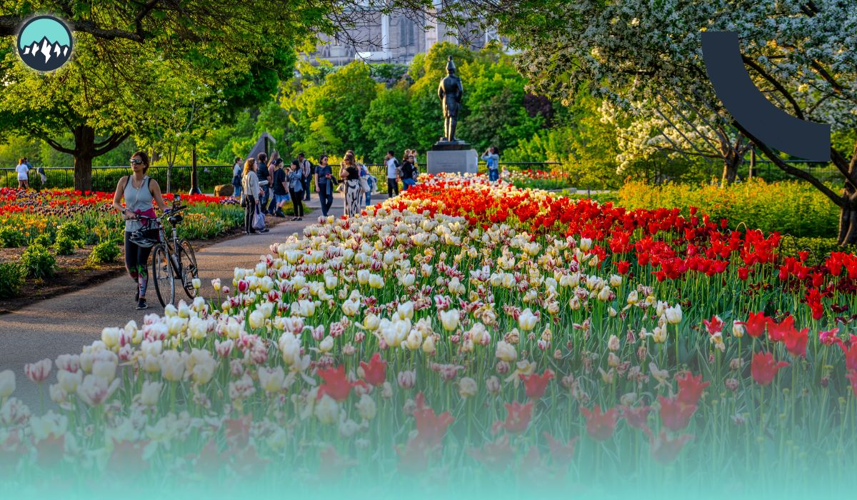 Savings Hacks for Spring Travel Within Canada