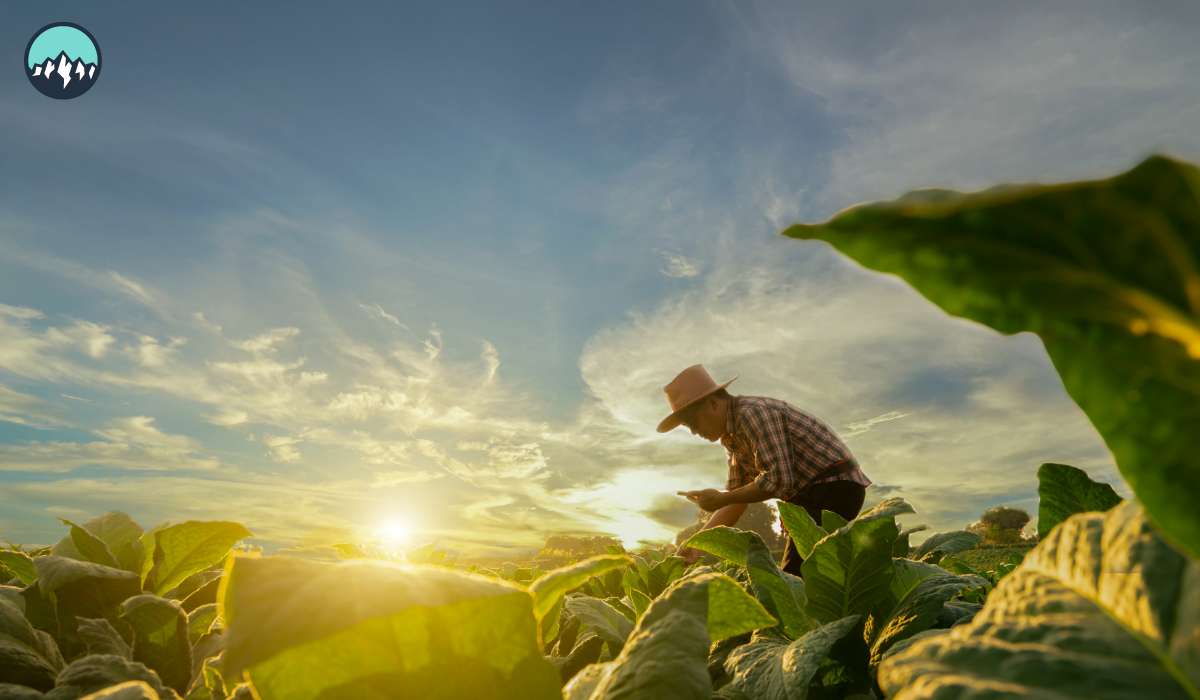 CanaMigrate CanaMigrate