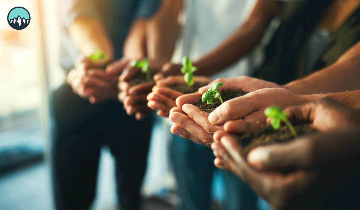 CanaMigrate CanaMigrate