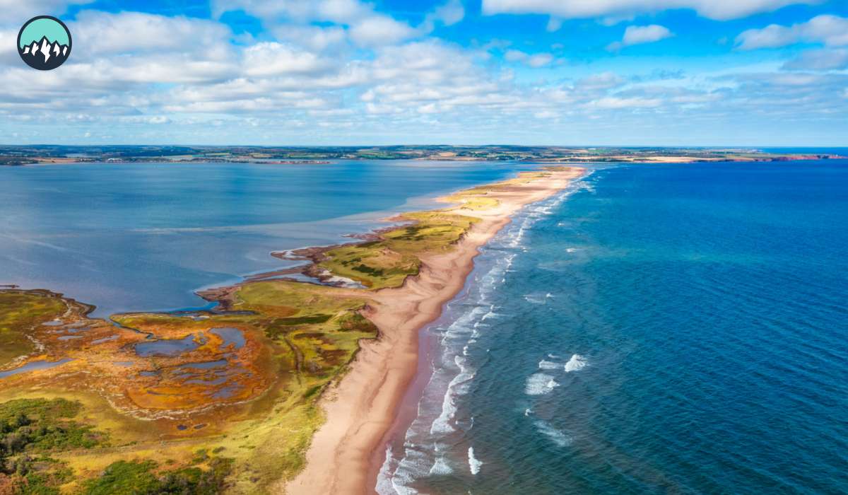 CanaMigrate CanaMigrate