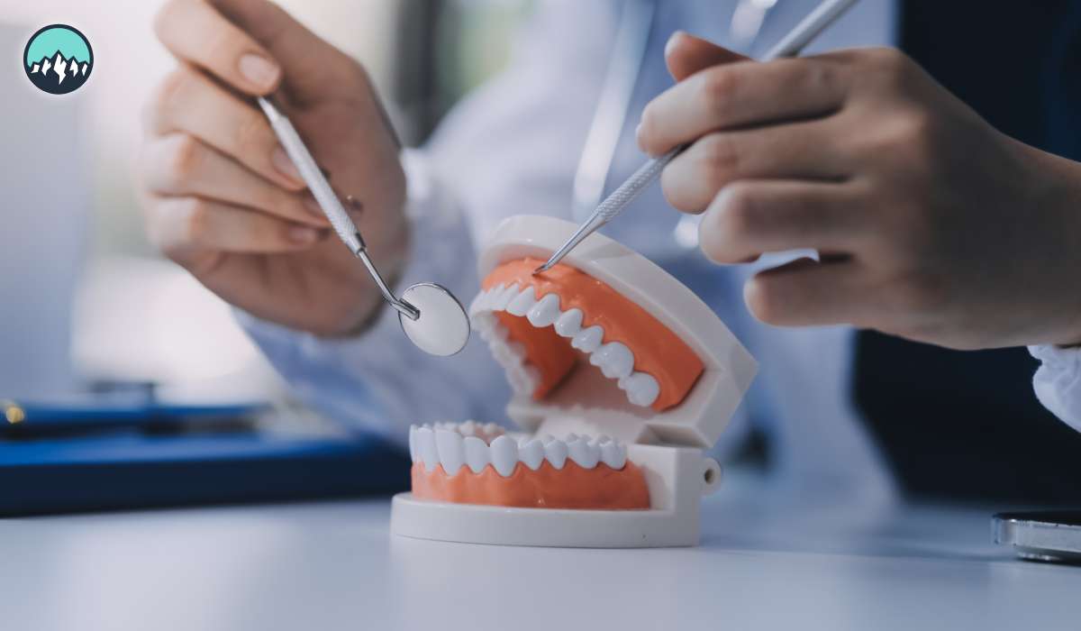 CanaMigrate CanaMigrate