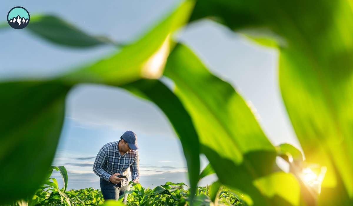 CanaMigrate CanaMigrate