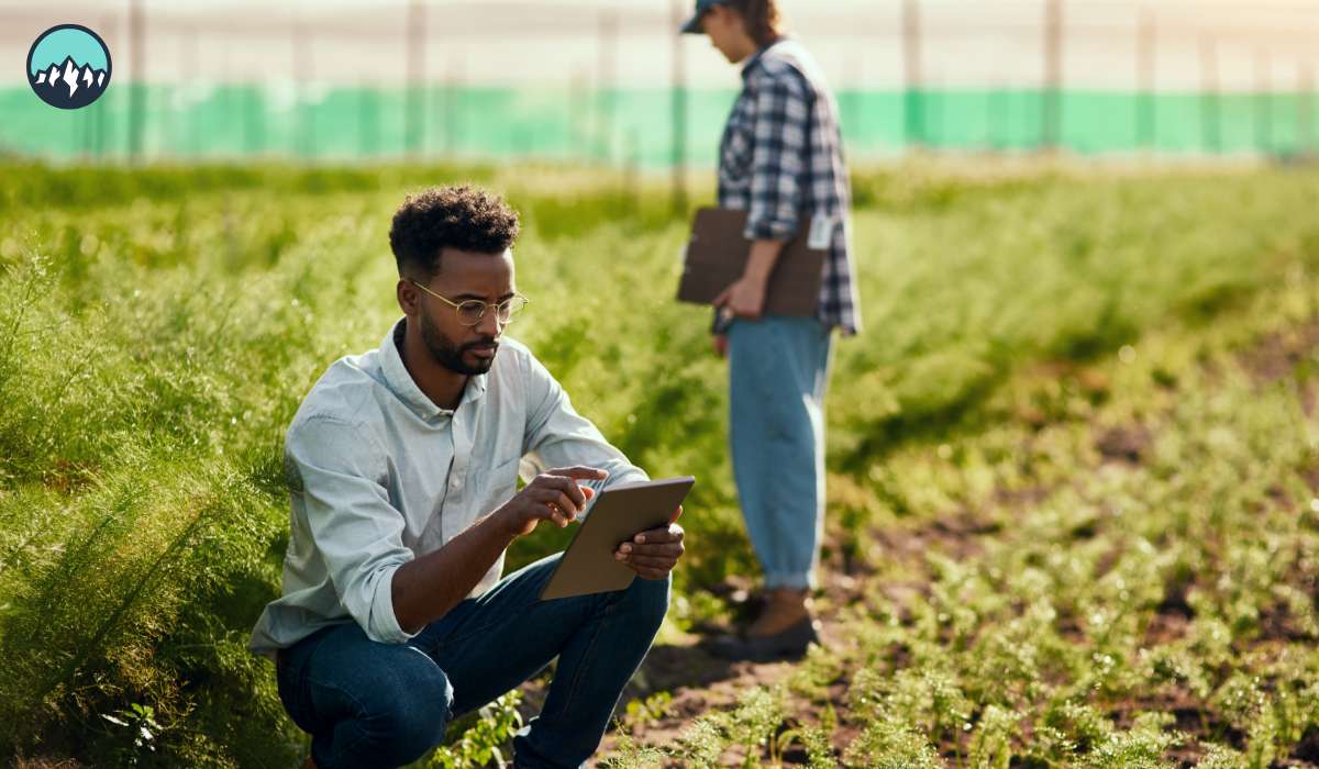 CanaMigrate CanaMigrate