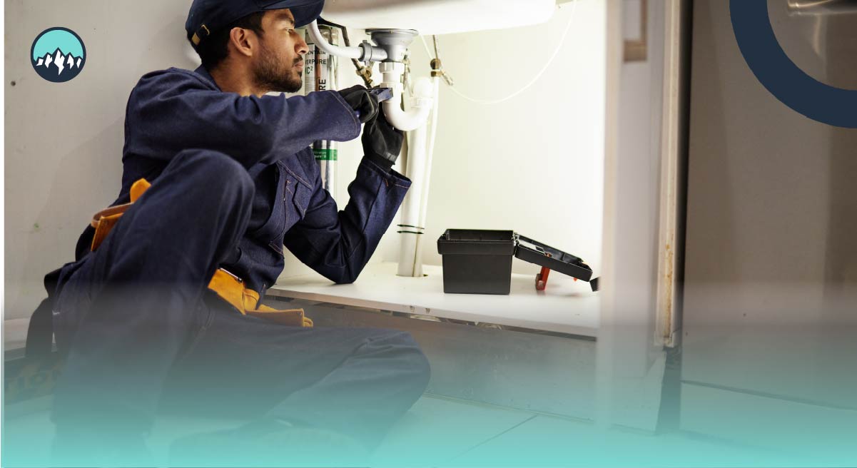 CanaMigrate CanaMigrate