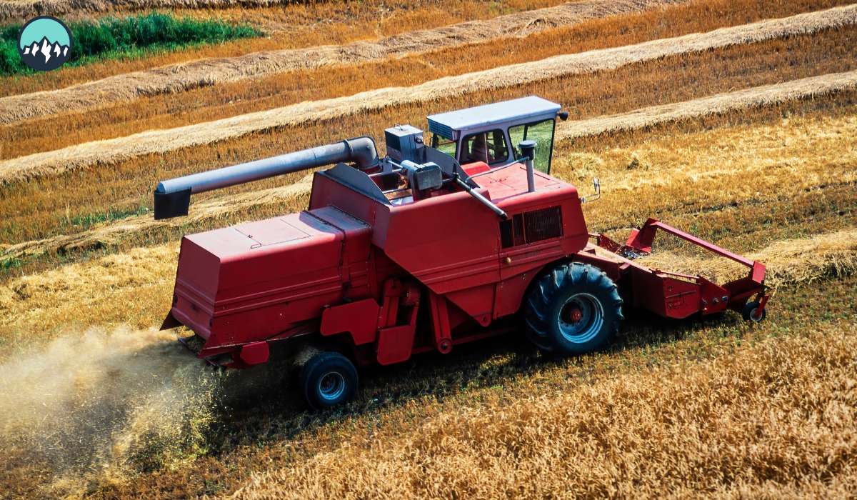 CanaMigrate CanaMigrate