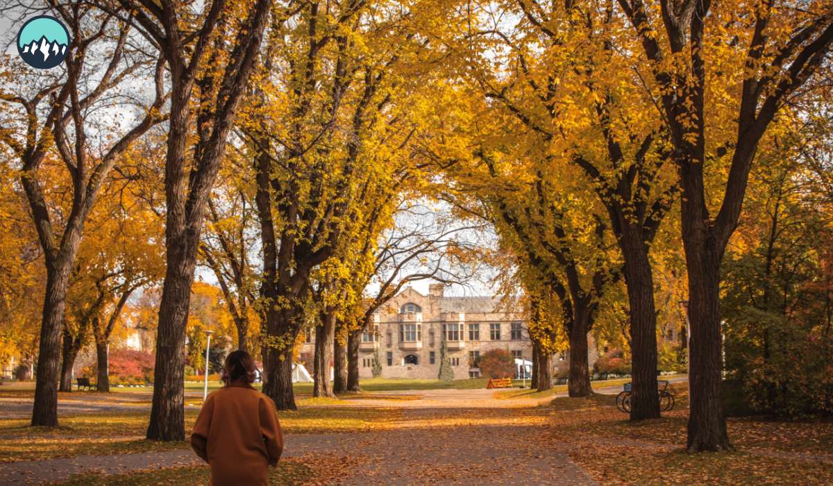 CanaMigrate CanaMigrate