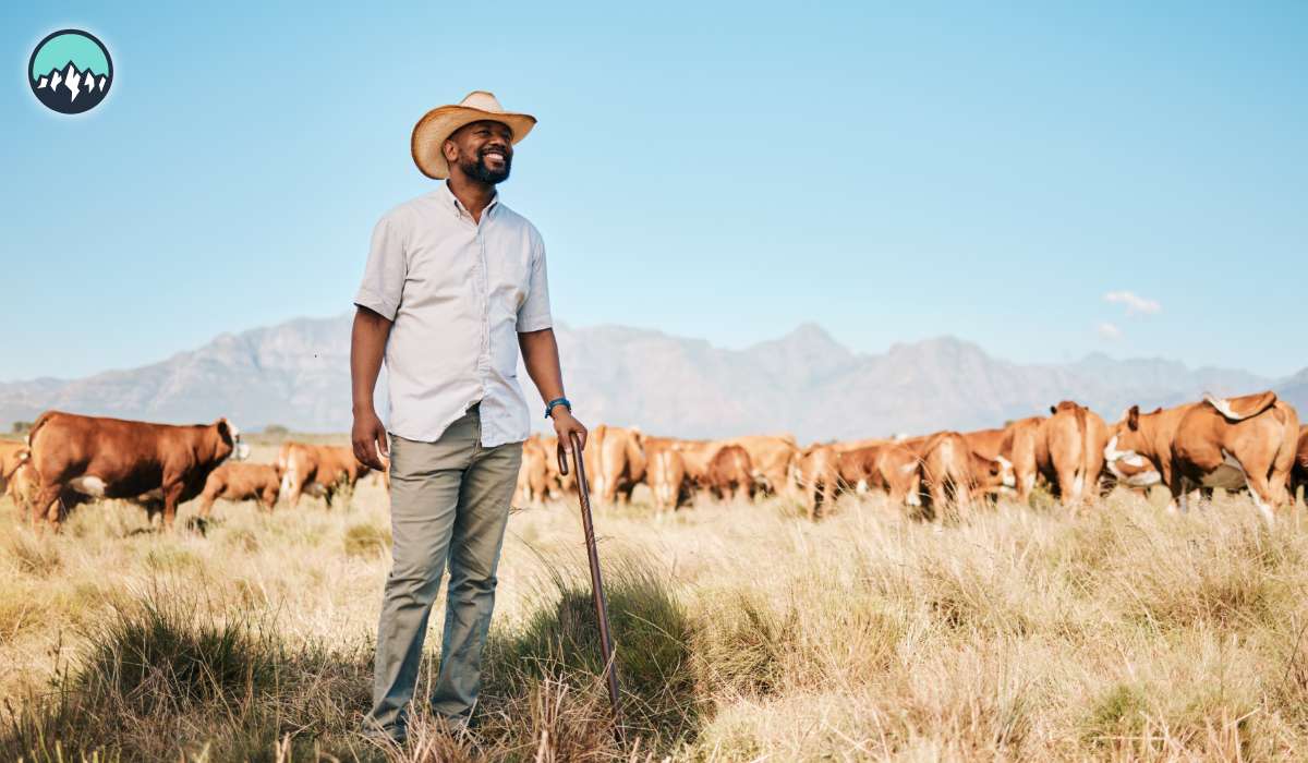 CanaMigrate CanaMigrate