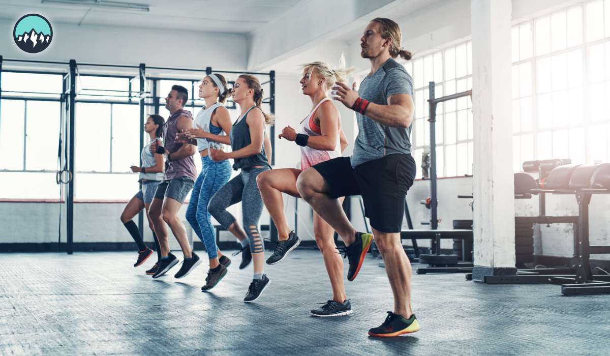 CanaMigrate CanaMigrate