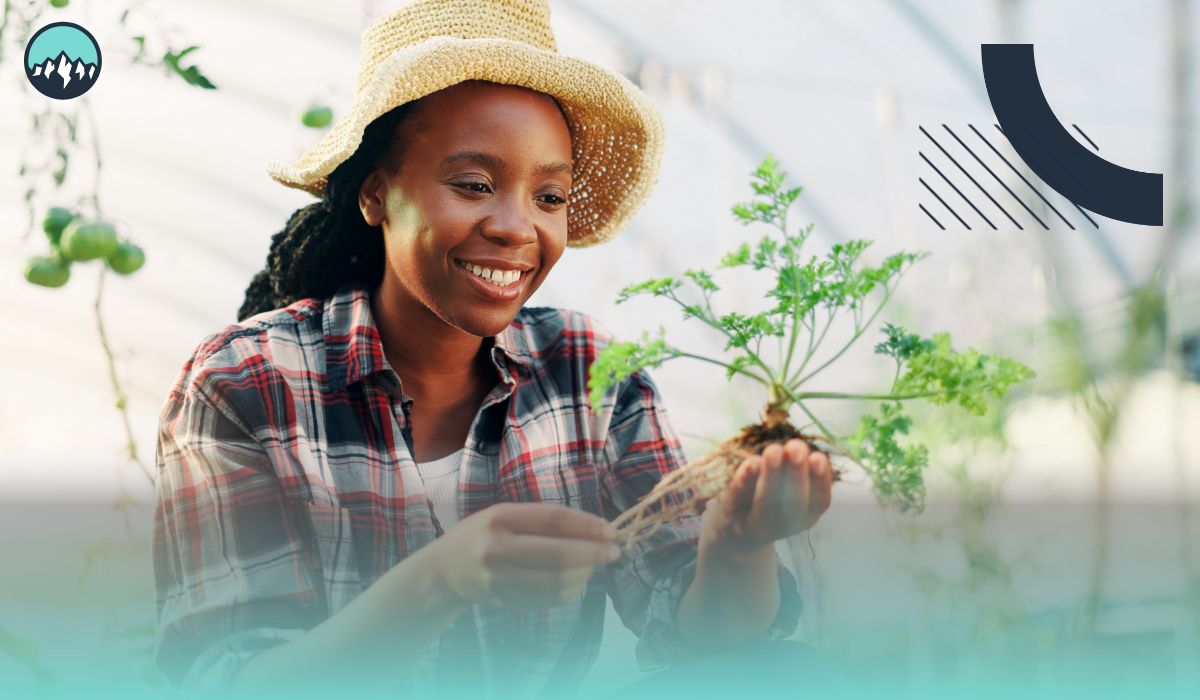 Cómo el Trabajo Agrícola en Canadá Abre Puertas Para los inmigrantes no Calificados
